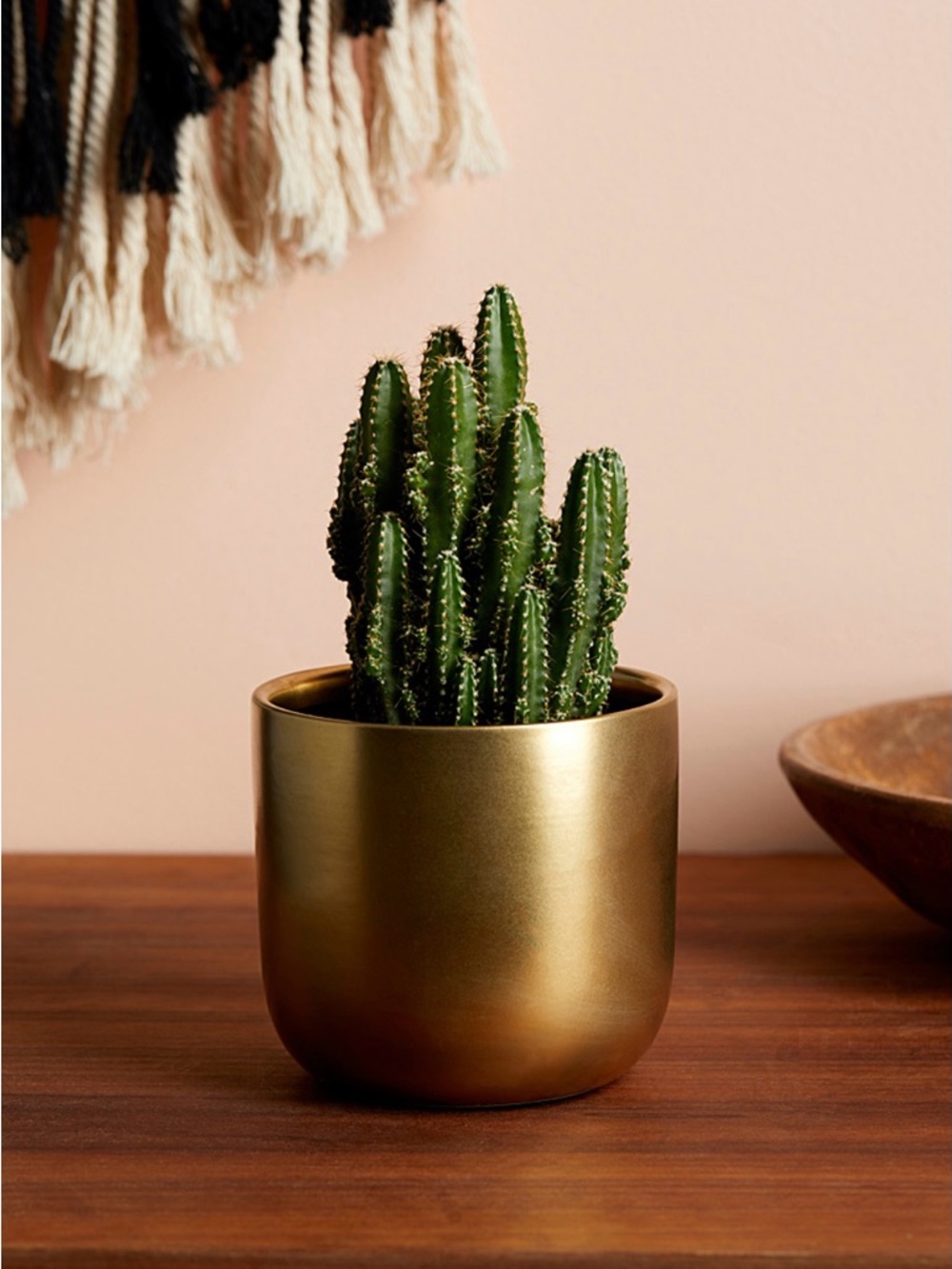 Gold Ceramic Planter with Green Cactus - Home Accents